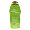 Refreshing Scalp + Teatree Mint Sampoo
