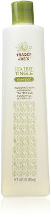 Trader Joe's Tea Tree Tingle Shampoo with Peppermint, Tea Tree and Eucalyptus Botanicals