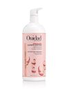 Advanced Climate Control Defrizzing Conditioner